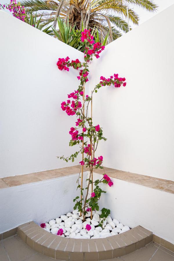 קרטראדוס Ds Traditional Villas Santorini Island מראה חיצוני תמונה