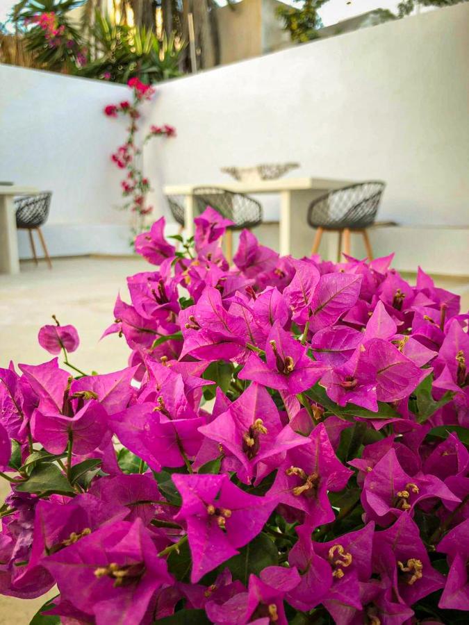קרטראדוס Ds Traditional Villas Santorini Island מראה חיצוני תמונה